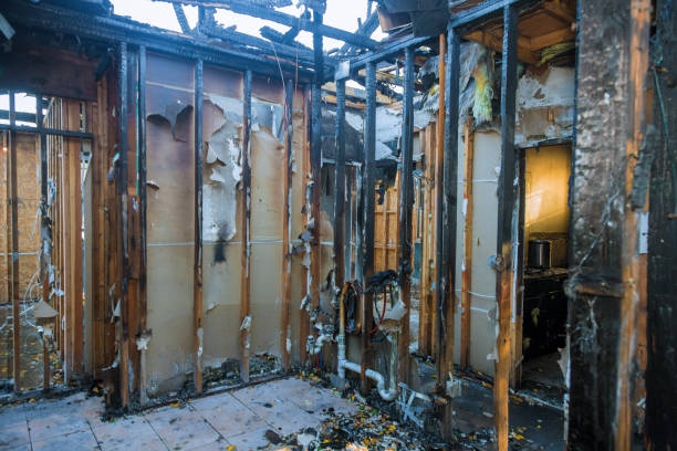 Professional Smoke Damage Removal technician working in Los Altos Hills, CA